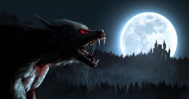 10 Creepy Cryptids You Might Not Know Much About